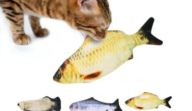 Fish & Aquatic Pets