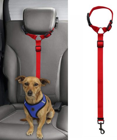 Pet safety leash